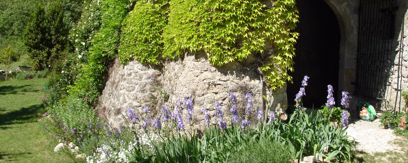 Oude stenen muur bedekt met klimop en kleurrijke tuin bij traditionele boerderij le mas d'aunas
