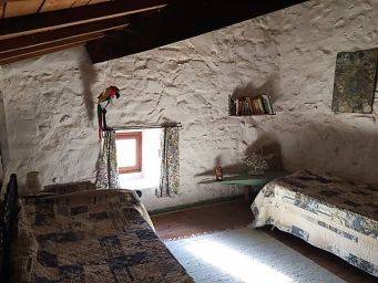 Rustieke slaapkamer met twee eenpersoonsbedden, witte stenen muur, klein raam en kleurrijke papegaai wanddecoratie