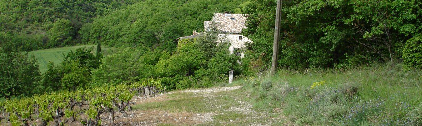 Landschap in zuid-ardèche met onverharde weg, jonge wijnstokken, natuursteen gebouw en groene heuvels onder bewolkte hemel