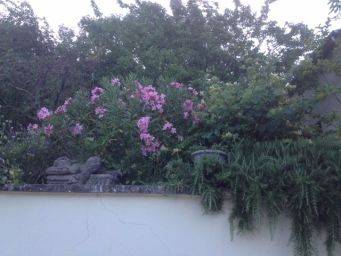 Rustige bloementuin met witte muur en beeldje, roze tot lila bloemen en groene begroeiing, natuurlijke sfeer Bloementuin